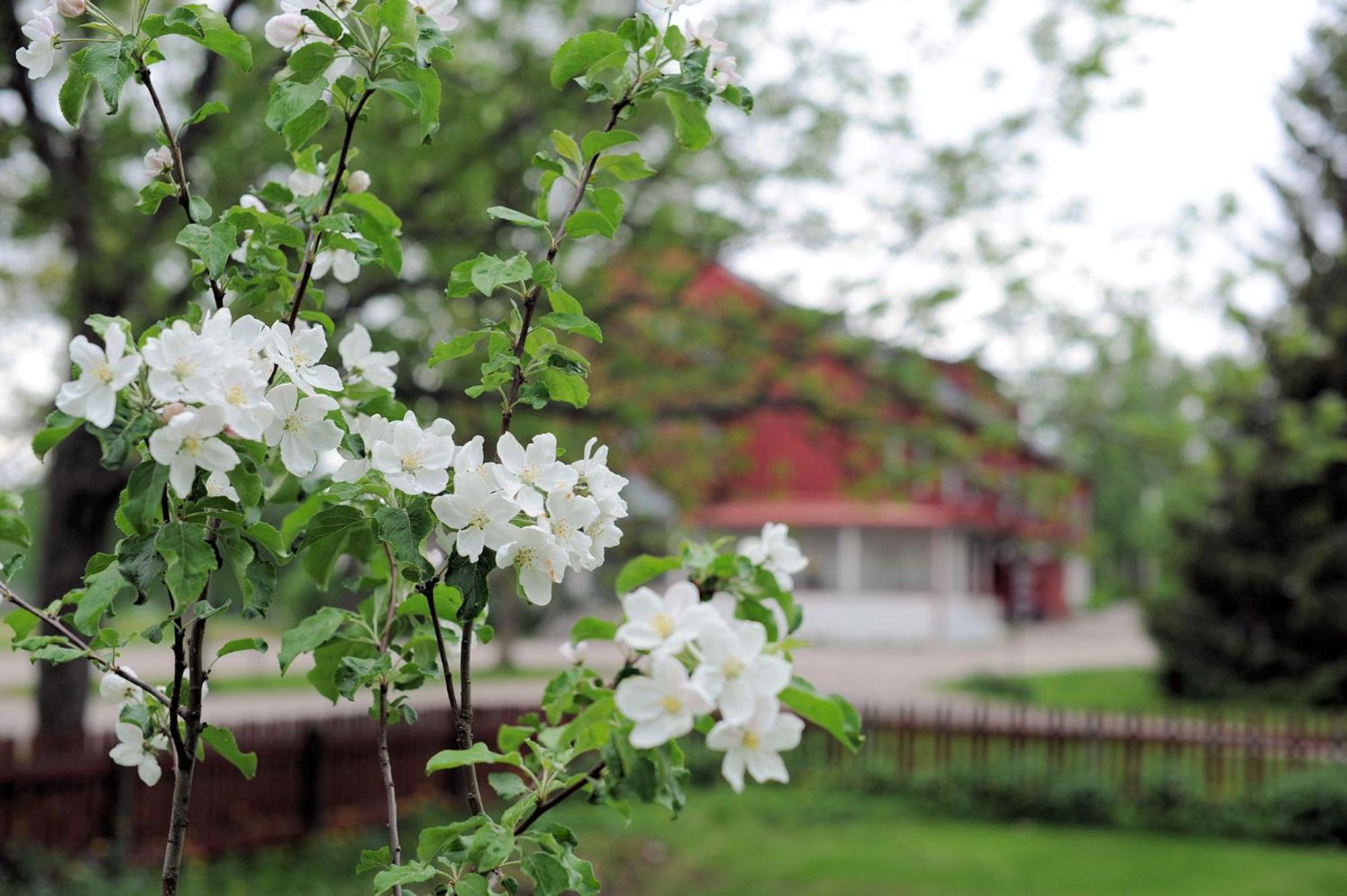Hotel Krapi Tuusula Luaran gambar